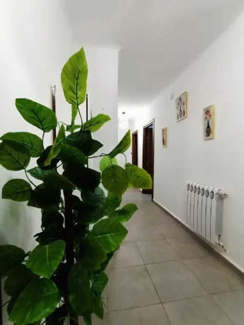 Location Appartement F4 Oran Oran