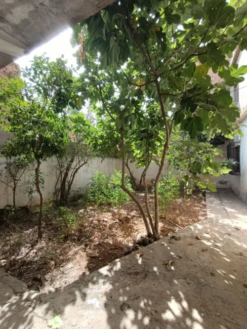 Location Appartement Niveau de villa F2 Oran Es senia