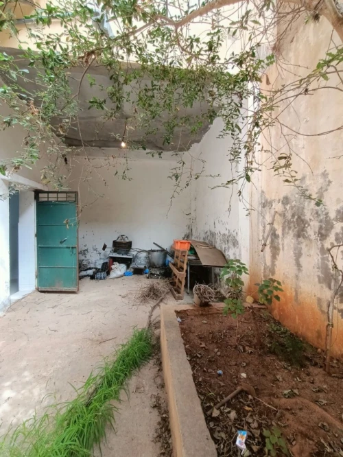 Location Local Oran Bir el djir