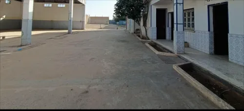 Location Hangar Oran Sidi chami