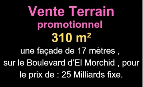 Vente Terrain Oran Bir el djir