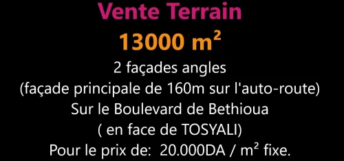Vente Terrain Oran Bethioua