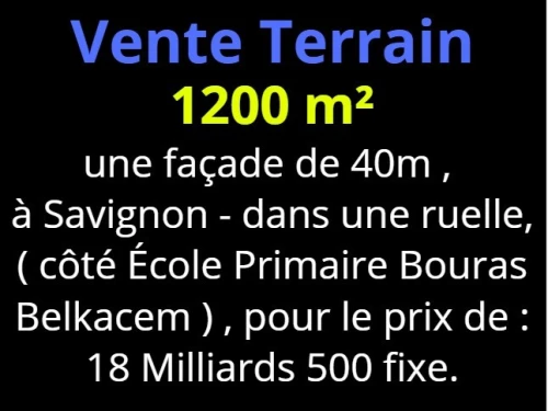 Vente Terrain Oran Oran