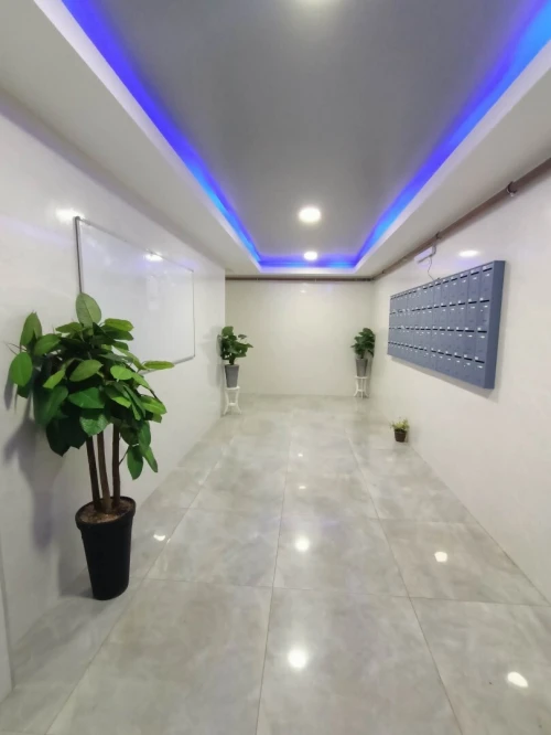 Vente Appartement F4 Oran Oran