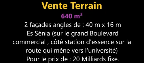 Vente Terrain Oran Es senia