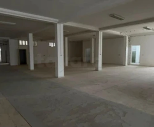 Location Hangar - Usine Oran Es senia