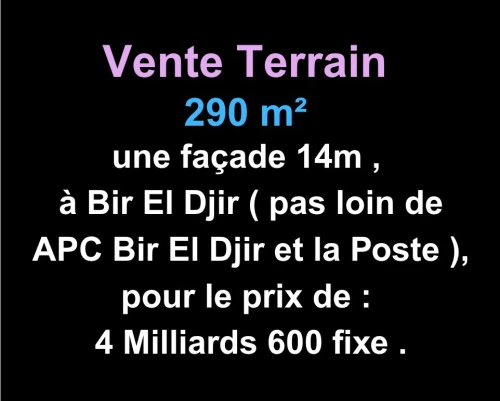 Vente Terrain Oran Bir el djir