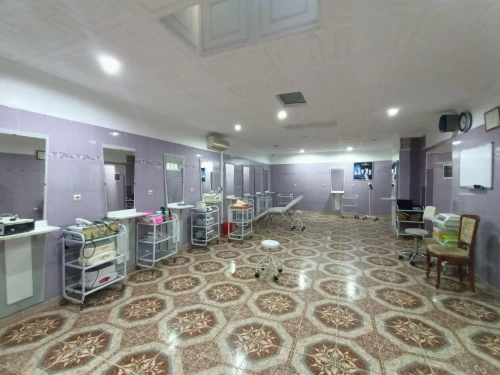 Location Niveau De Villa F6 Oran Oran