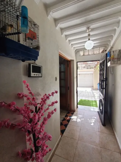 Vente Appartement F3 Oran Oran