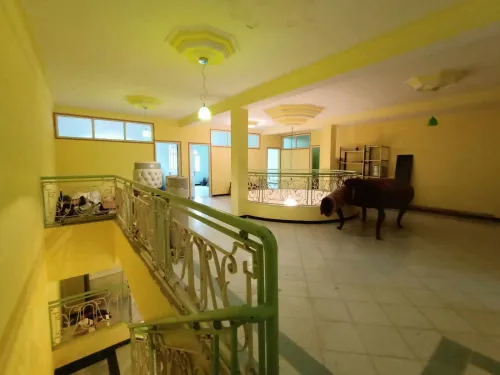 Location Duplex F12 Oran Bir el djir