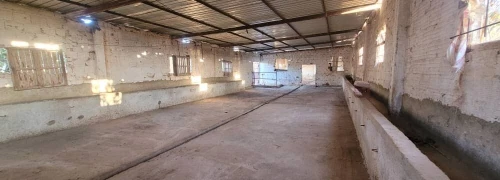 Location Hangar - Usine Oran Ain el turck