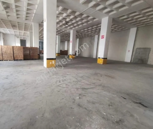 Location Local Oran Bir el djir