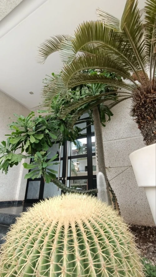 Vente Appartement F3 Oran Oran