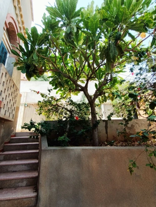 Location Villa Oran Ain el turck