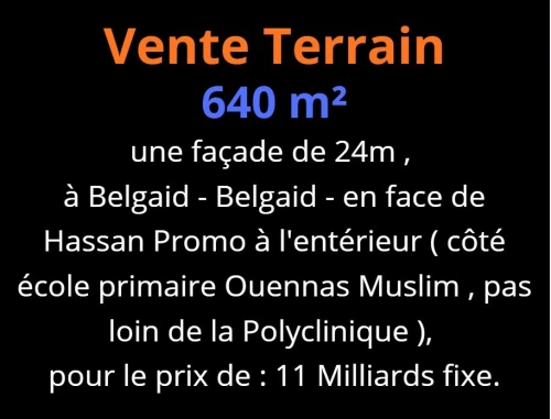 Vente Terrain Oran Bir el djir