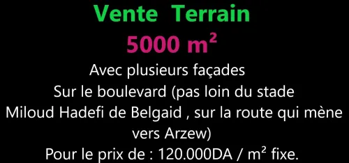 Vente Terrain Oran Bir el djir