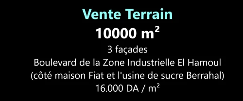 Vente Terrain Oran El Kerma