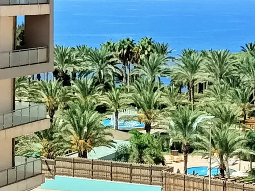 Location Appartement F3 Oran Oran