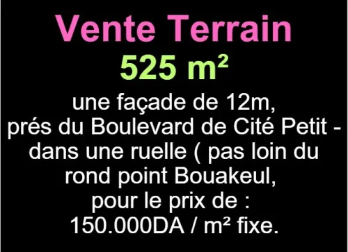 Vente Terrain Oran Oran