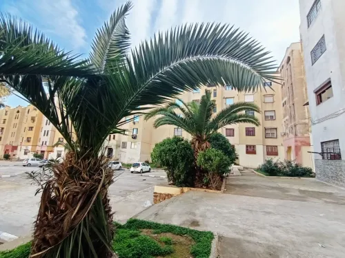 Location Appartement F3 Oran Bir el djir