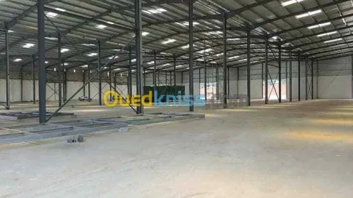 Location Hangar - Usine Oran Oued tlelat
