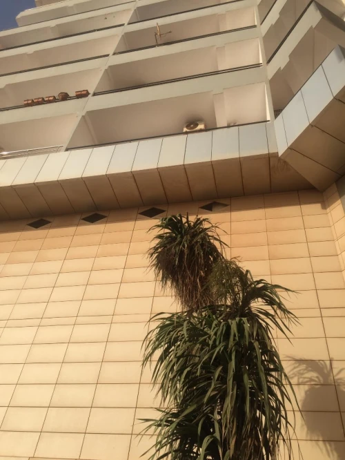 Vente Appartement F2 Oran Oran