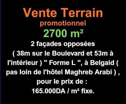Vente Terrain Oran Bir el djir