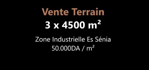 Vente Terrain Oran Es senia