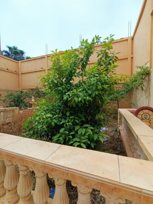 Location Villa Oran Bethioua