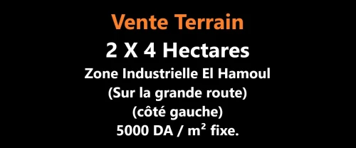 Vente Terrain Oran El Kerma
