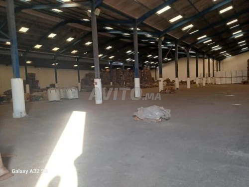 Location Hangar - Usine Oran Es senia