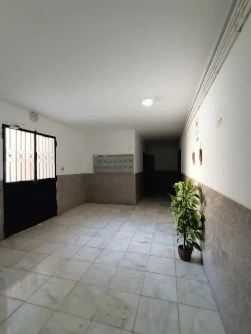Location Appartement F3 Oran Oran
