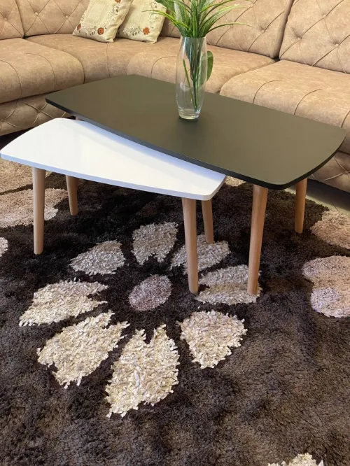 Table basse scandinave 