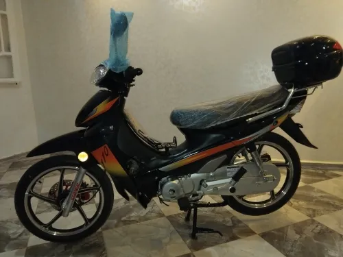 لوجيا sym Sym Ham 2025