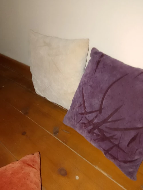 Coussin de salon