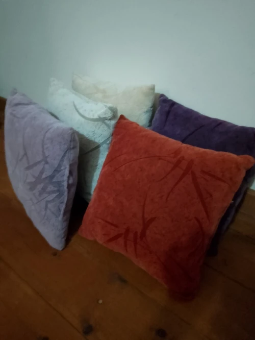 Coussin de salon