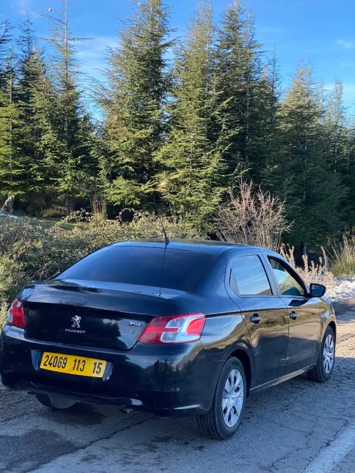 Peugeot 301 2013 Active