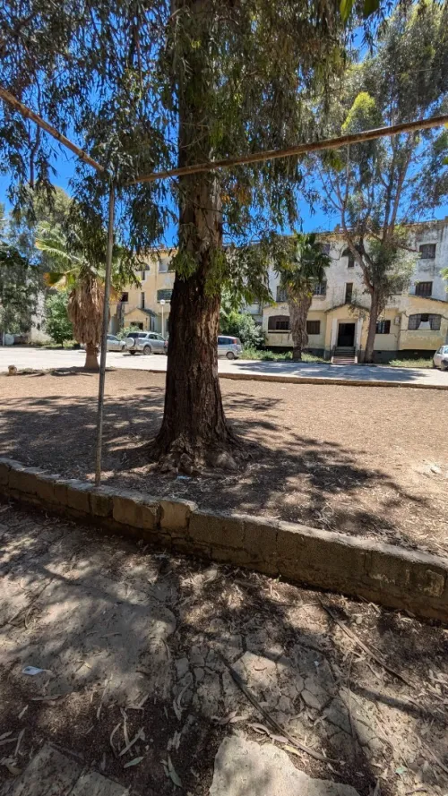 Vente Appartement F3 Constantine Didouche mourad
