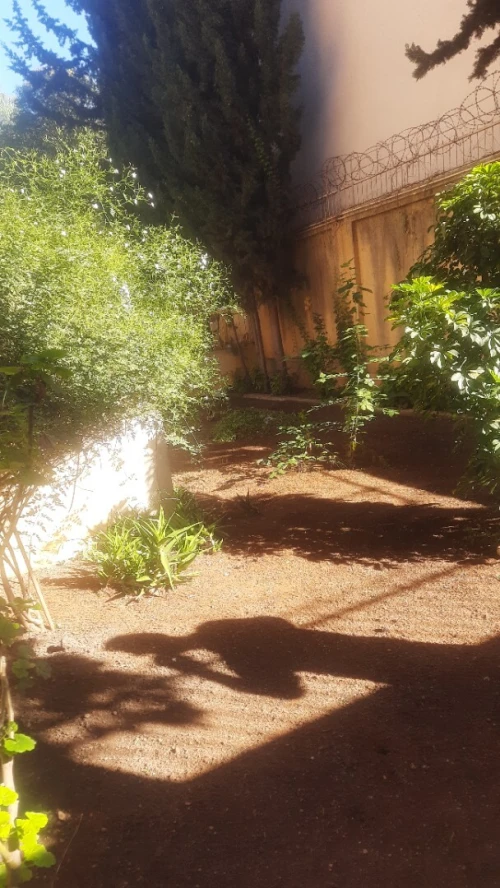 Location Villa Alger Hydra