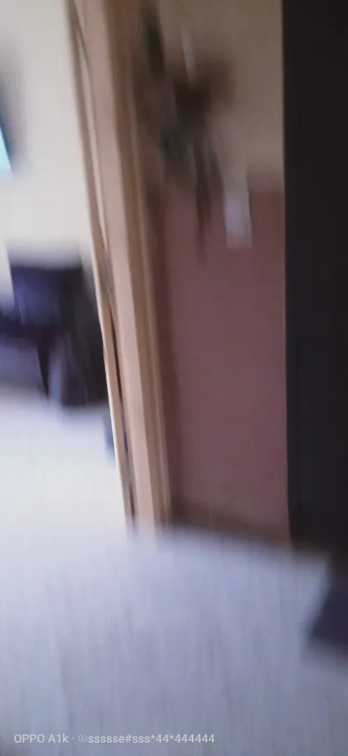 Vente Appartement F3 Alger Ain benian