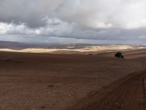Vente Terrain Agricole Mascara El gaada