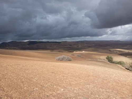 Vente Terrain Agricole Mascara El gaada