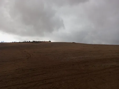 Vente Terrain Agricole Mascara El gaada
