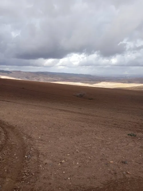Vente Terrain Agricole Mascara El gaada