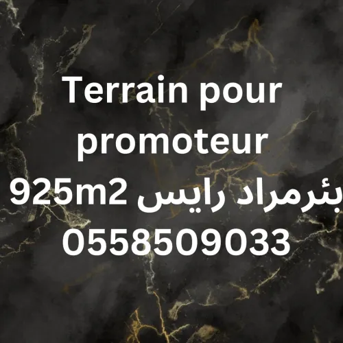 Vente Terrain Alger Bir mourad rais