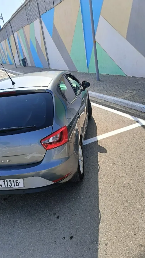 Seat Ibiza 2013 Fully