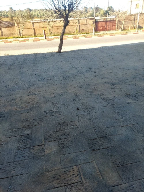Location Local Chlef Chlef