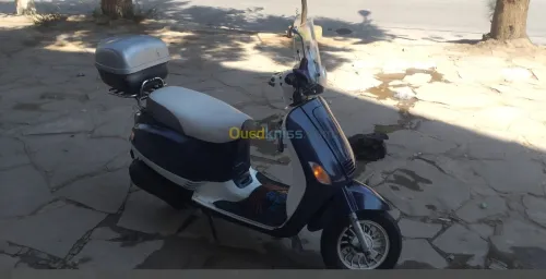 As motors Roma S 2019