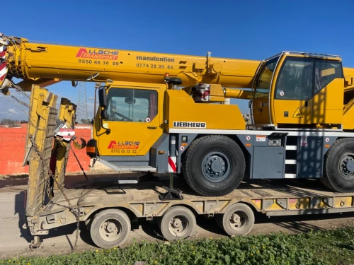 Location grue et manitou 