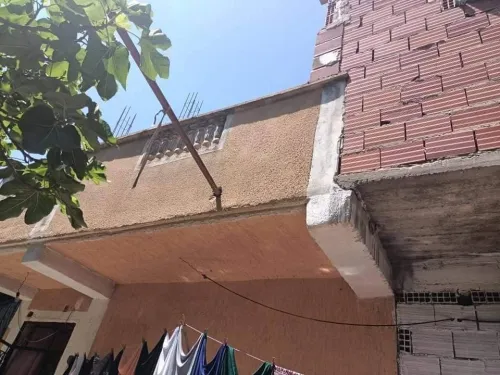 Vente Terrain Blida Beni tamou